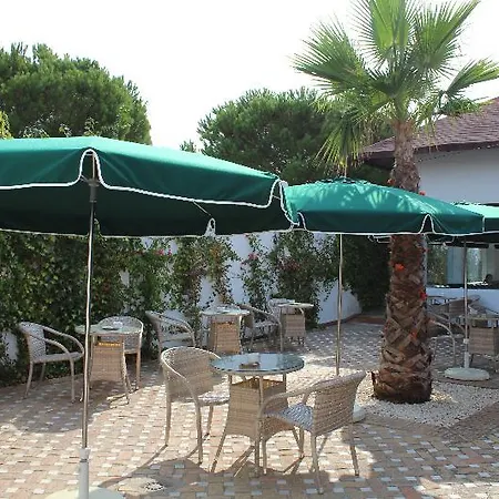 فندق Bluesea El Cortijo
