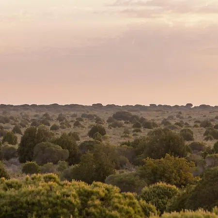 Hotel Moon Dreams El Cortijo
